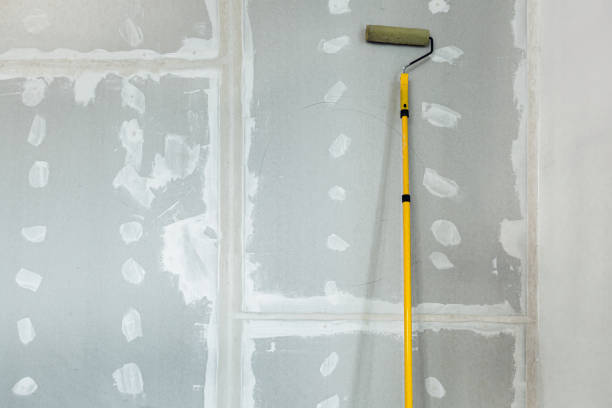 Best Commercial Mold Inspection  in Onalaska, TX