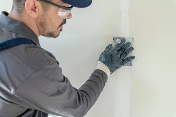 Best Attic Mold Removal  in Onalaska, TX