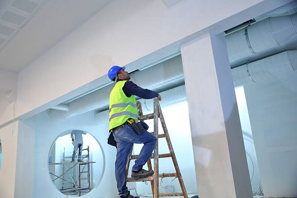 Best Post-Construction Mold Inspection  in Onalaska, TX