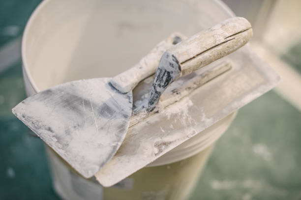 Best Real Estate Mold Inspection  in Onalaska, TX